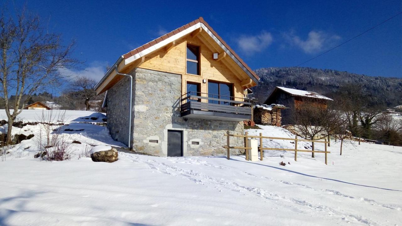 Le Chalet Des Pierres Viuz-en-Sallaz Εξωτερικό φωτογραφία