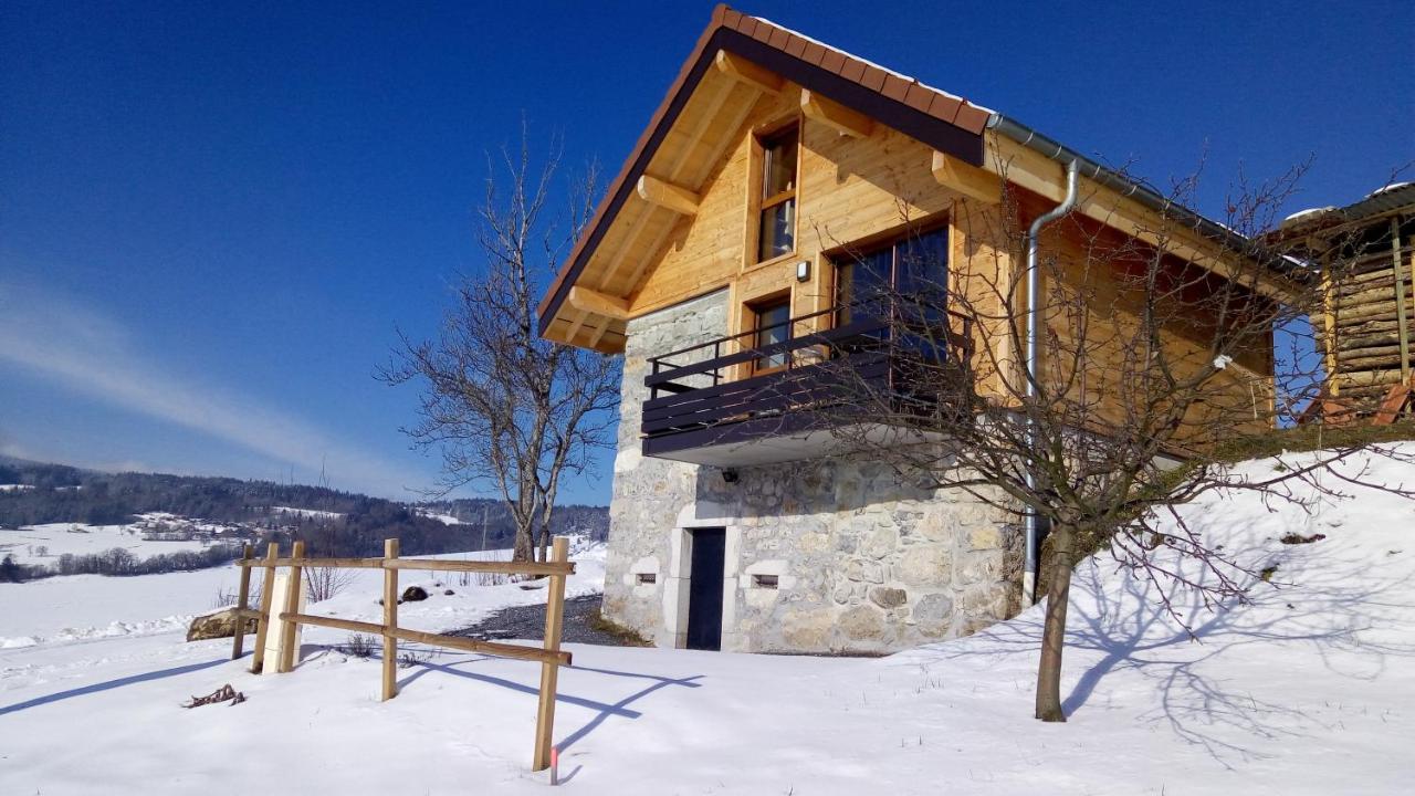 Le Chalet Des Pierres Viuz-en-Sallaz Εξωτερικό φωτογραφία